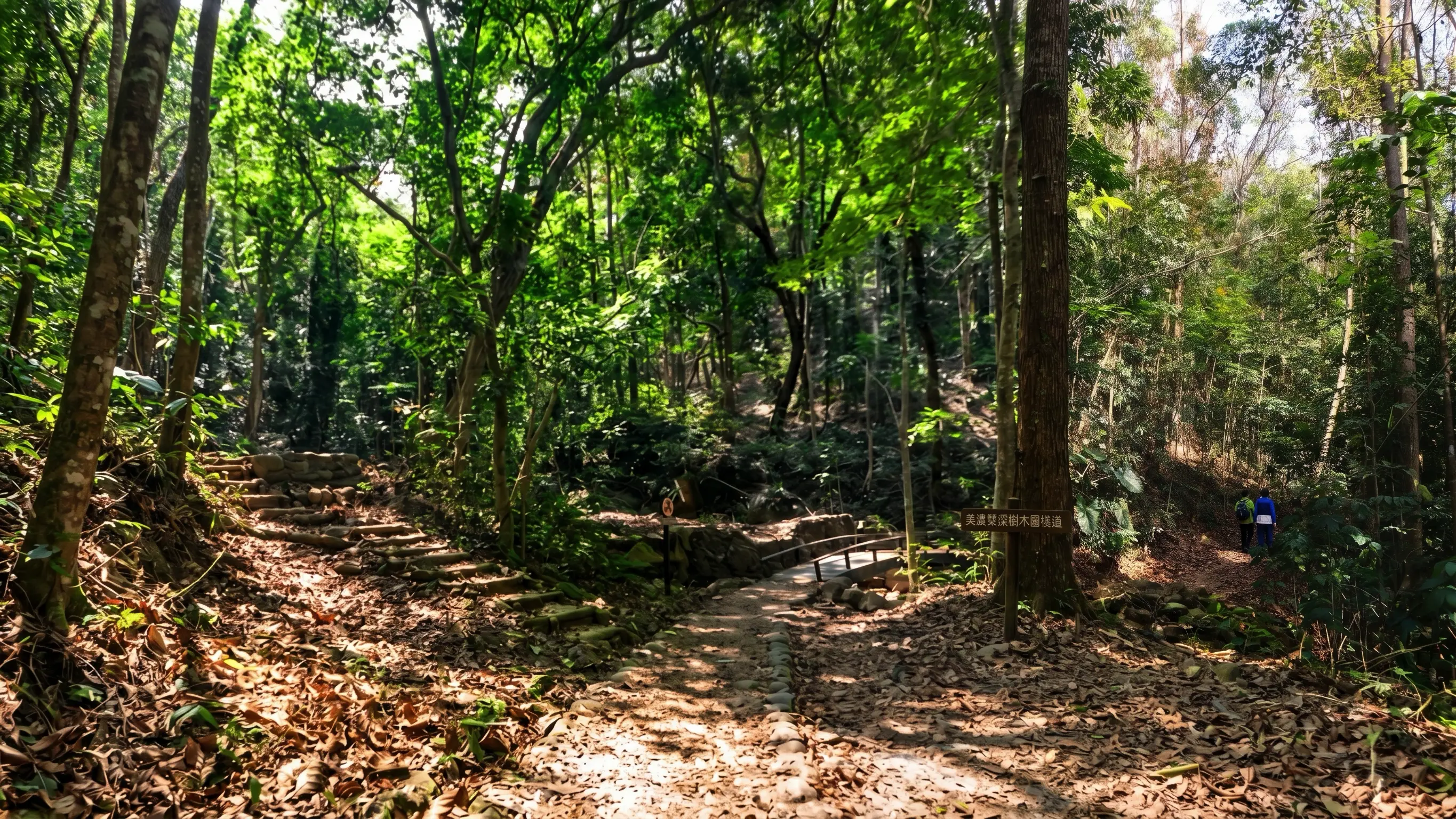 雙溪樹木園